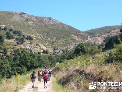 Pinar de Canencia y Mina de Plata del Indiano; excursiones de un día;asociaciones senderismo madrid